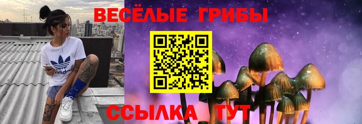 Псилоцибиновые грибы Magic Shrooms Новочеркасск